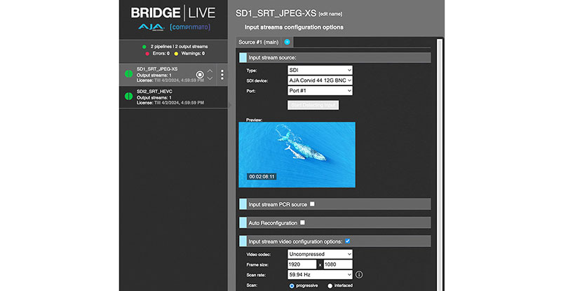 AJA BLVE JPEG XS Input Config