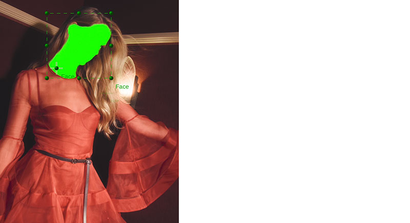 Baselight 7 segment anything