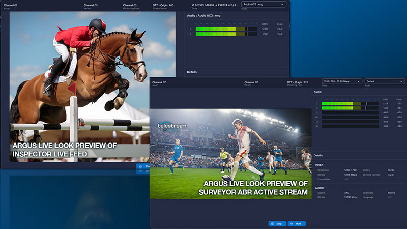 Telestream ARGUS v2.3 Features Live Look for Real-Time Stream Validation Telestream ArgusScreen liveLook