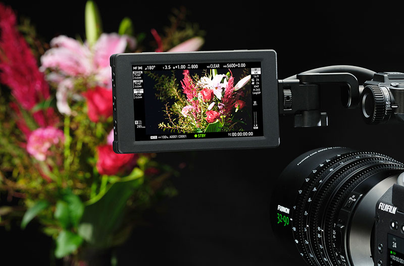 Fujifilm GFX ETERNA 55 blackKV 7