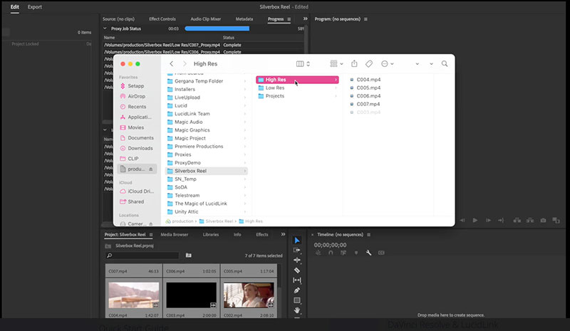 LucidLink panel for premiere pro2