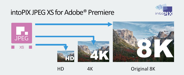 intoPIX JPEG XS Proxy master