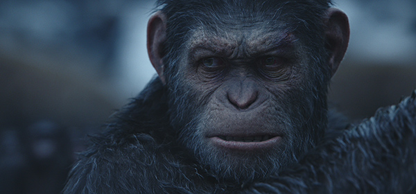 WetaM War for the Planet of the Apes