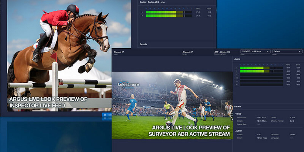 Telestream ArgusScreen liveLook